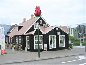 Auberge de jeunesse islandaise