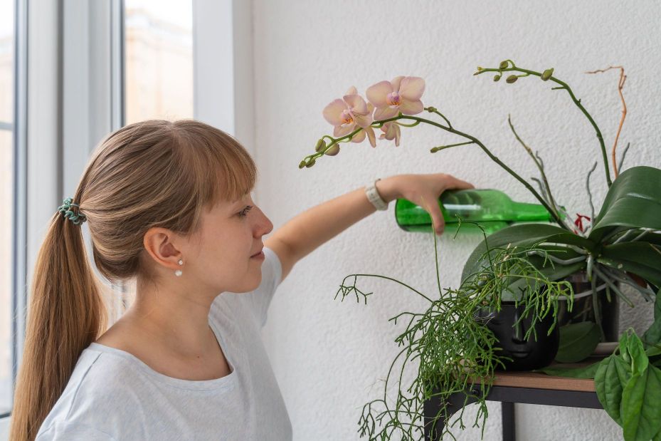 Woman watering an orchid