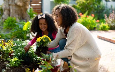 Our list of annual flower to keep at home: Here’s a selection.