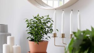 accessoire déco